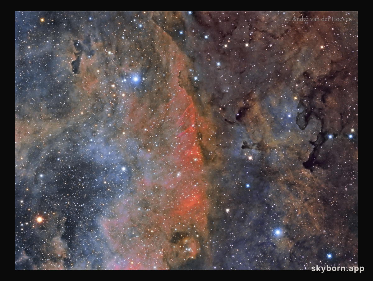 Colorful Star Clouds in Cygnus