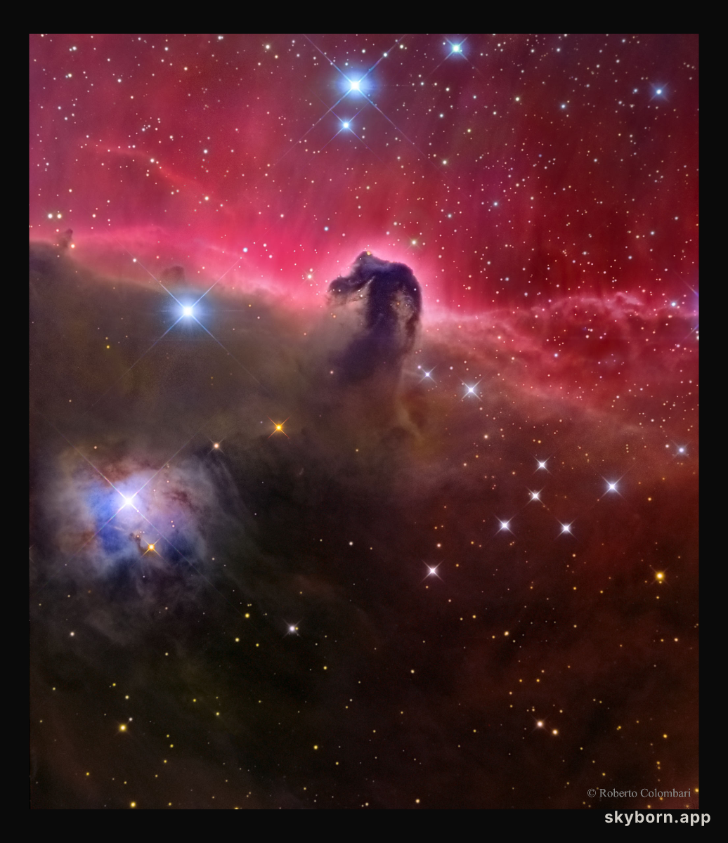 The Magnificent Horsehead Nebula