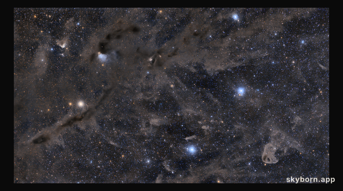 A Dark and Dusty Sky