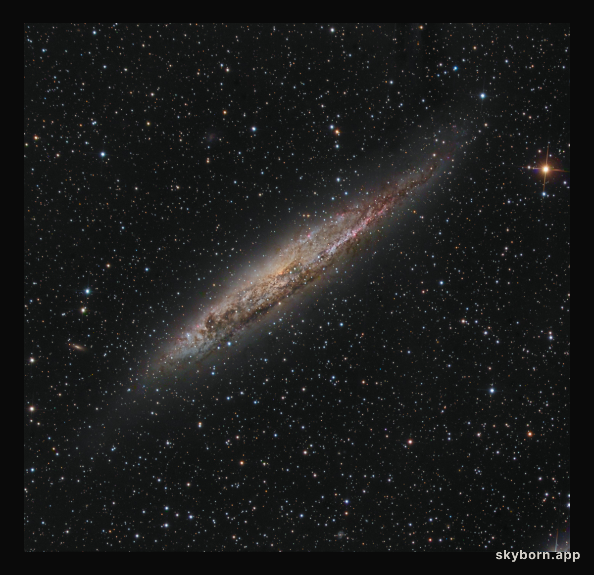 Nearby Spiral Galaxy NGC 4945