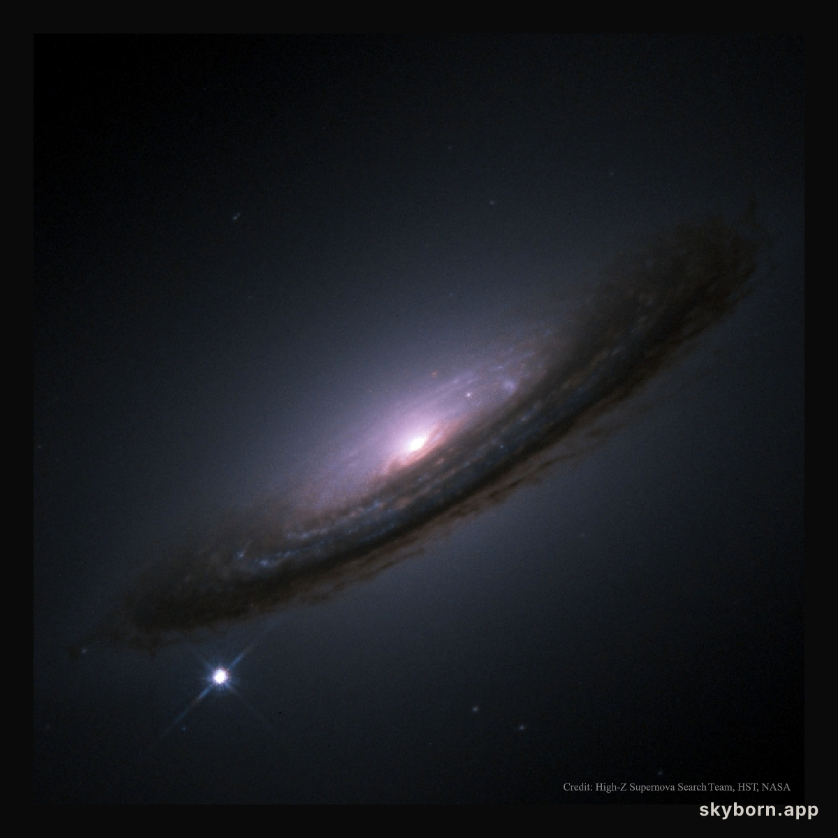 Supernova 1994D and the Unexpected Universe