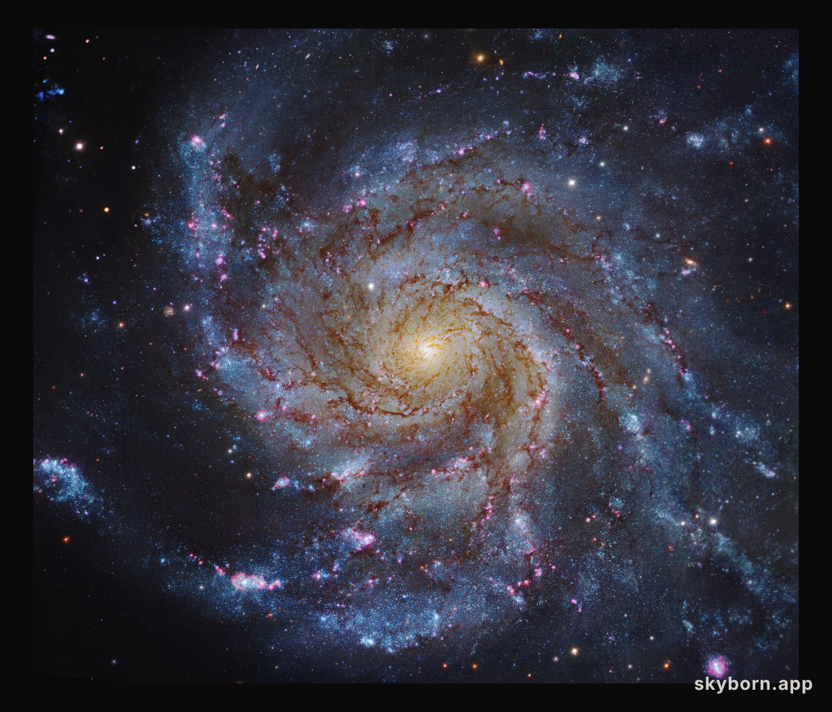 M101: The Pinwheel Galaxy