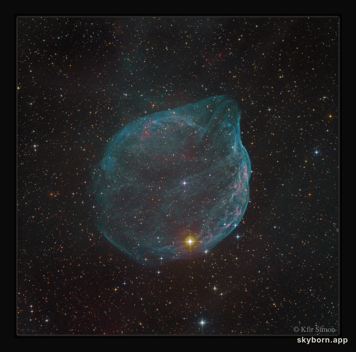 Sharpless 308: Star Bubble