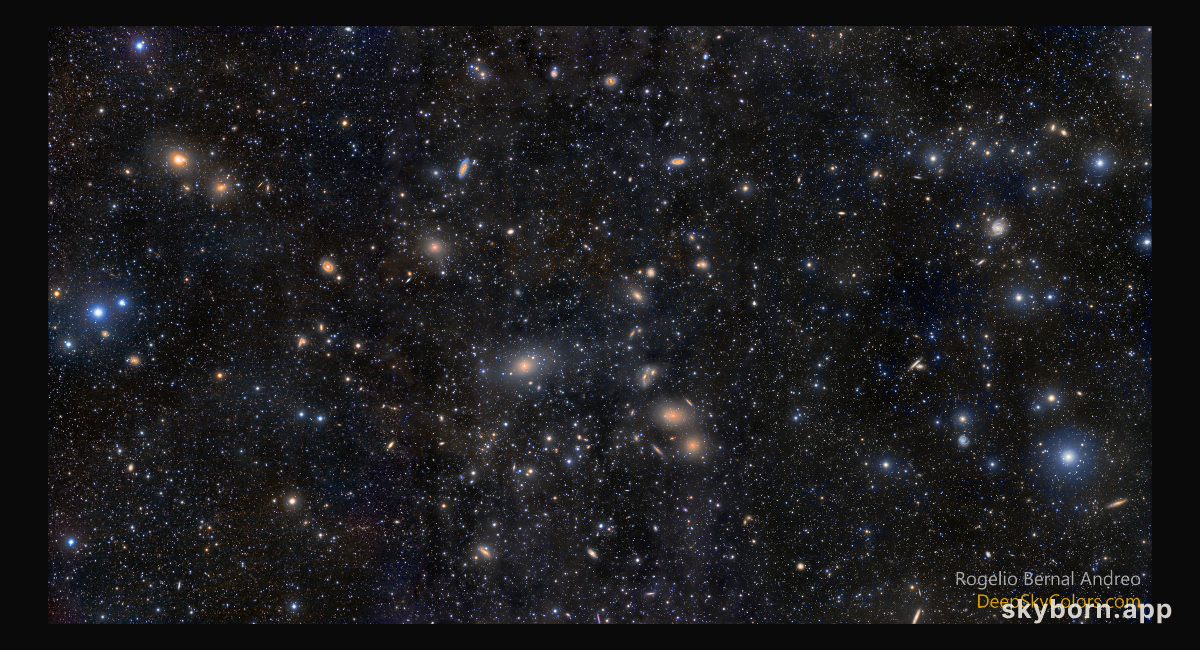 Virgo Cluster Galaxies