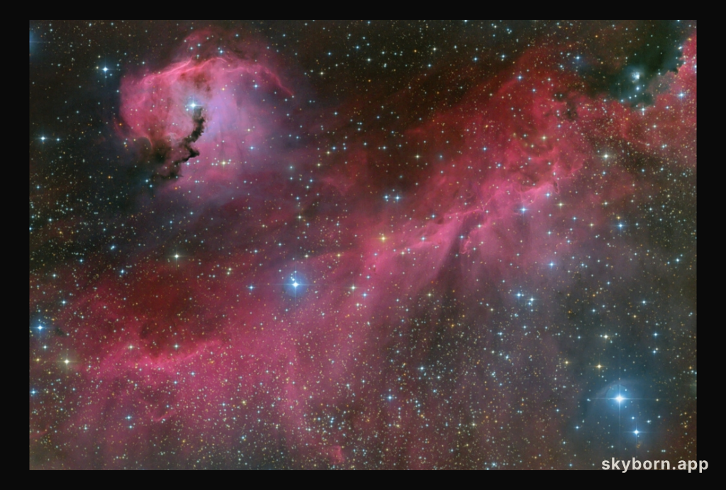 The Seagull Nebula