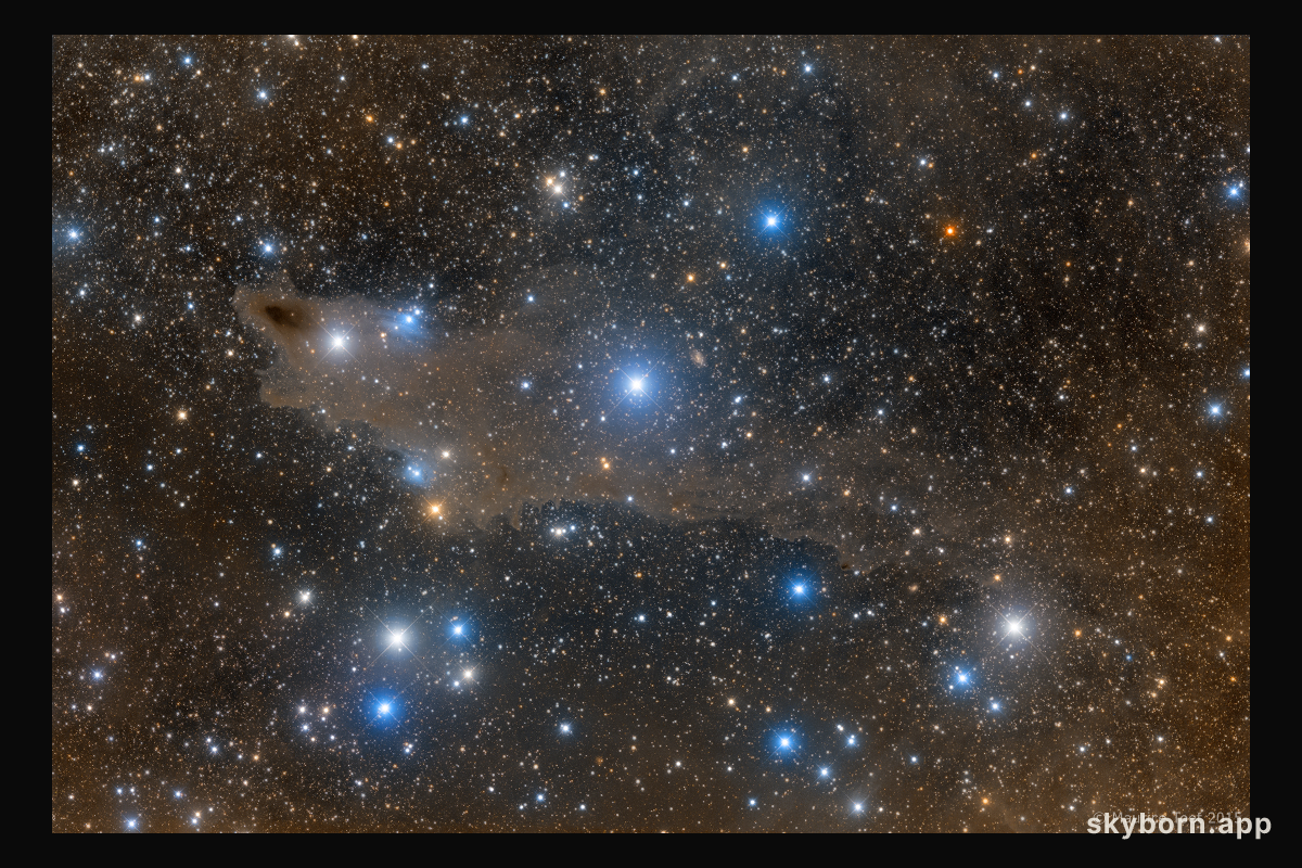 The Shark Nebula