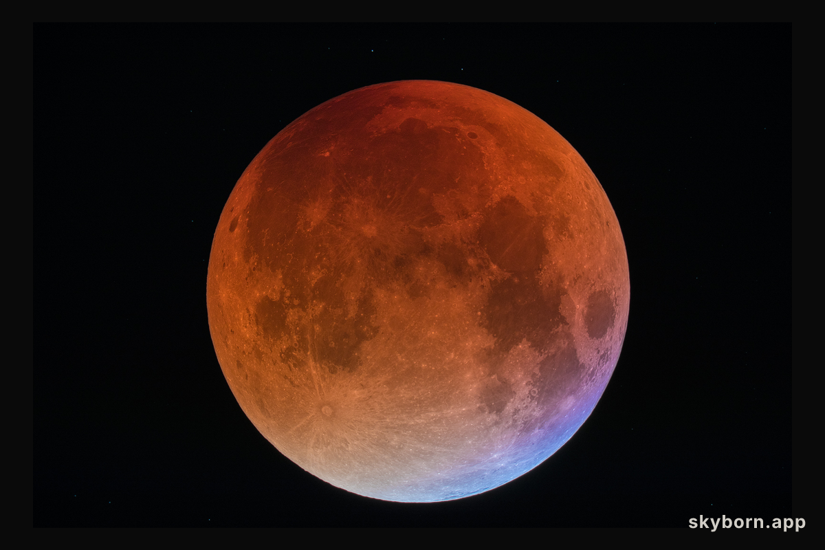 A Blue Blood Moon