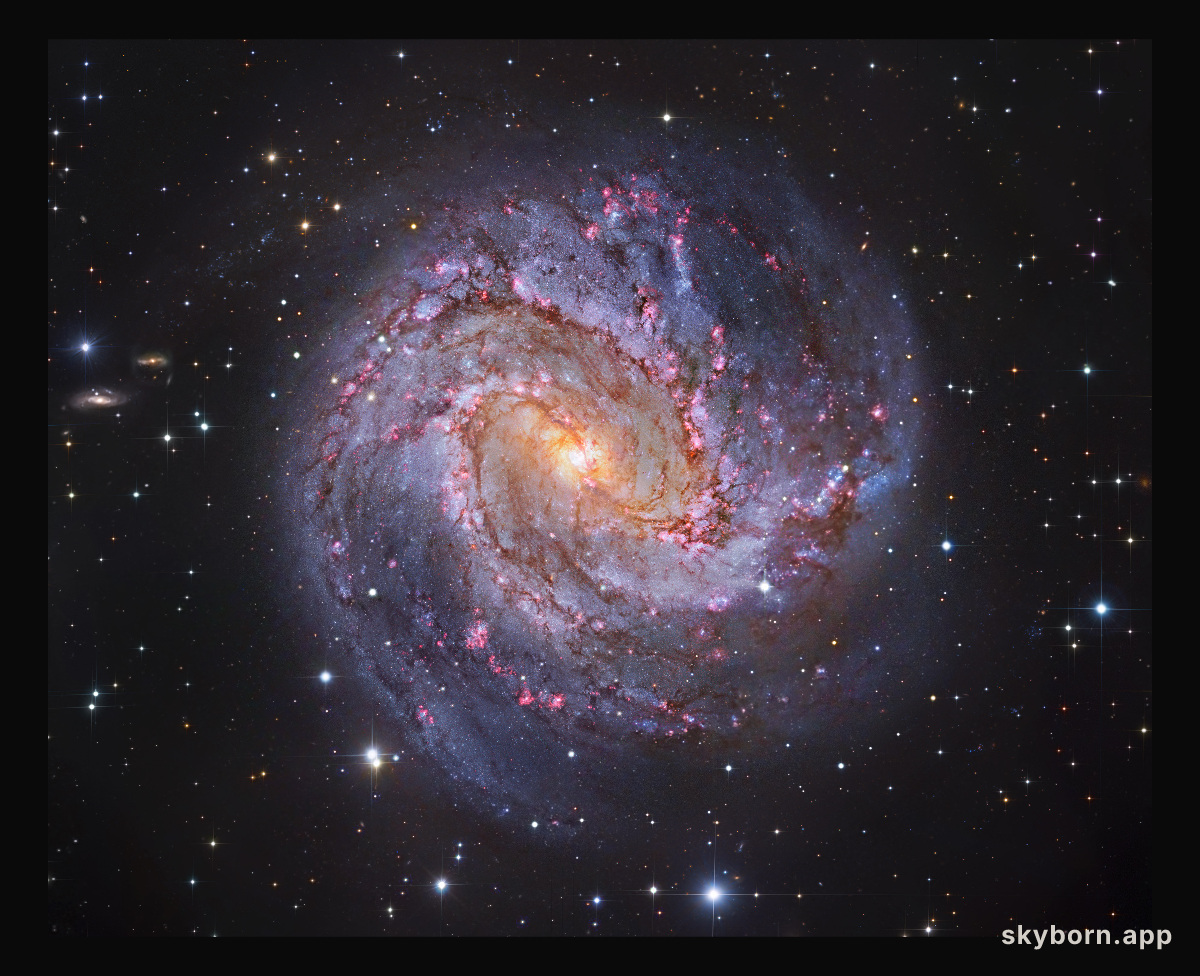 M83: The Thousand-Ruby Galaxy