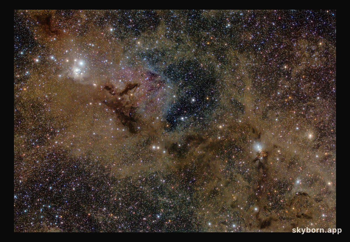 Stardust in Perseus