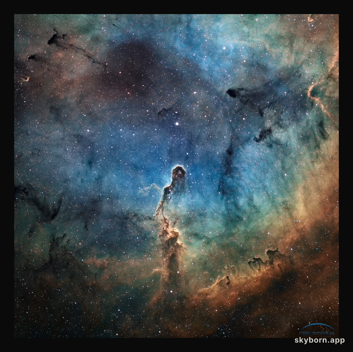 The Elephant's Trunk in IC 1396