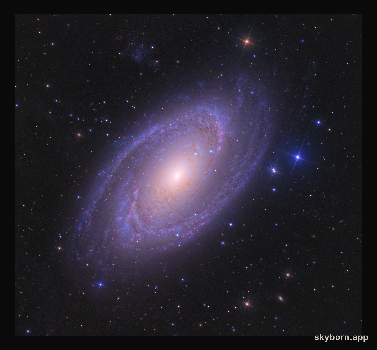 Bright Spiral Galaxy M81