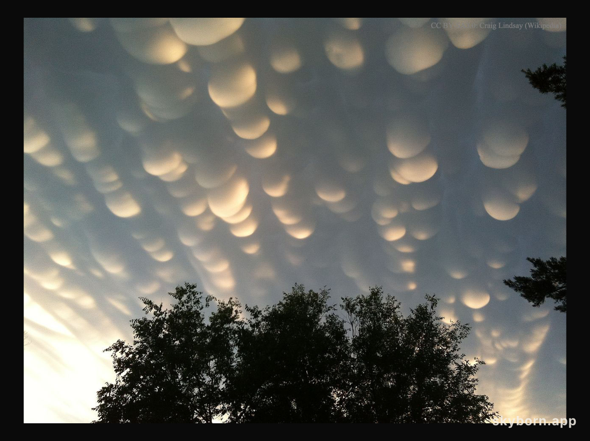 Mammatus Clouds Over Saskatchewan