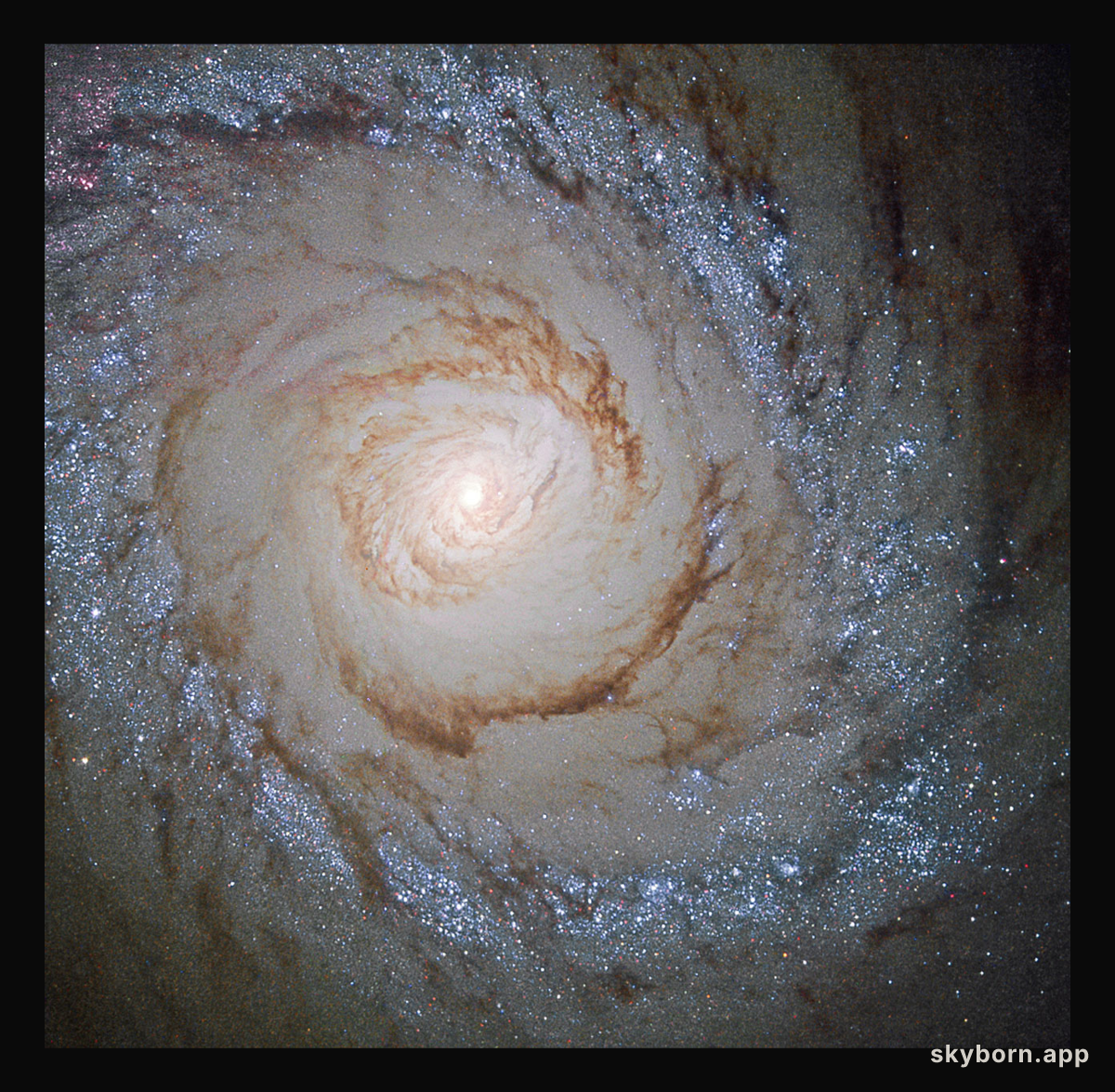 Starburst Galaxy Messier 94