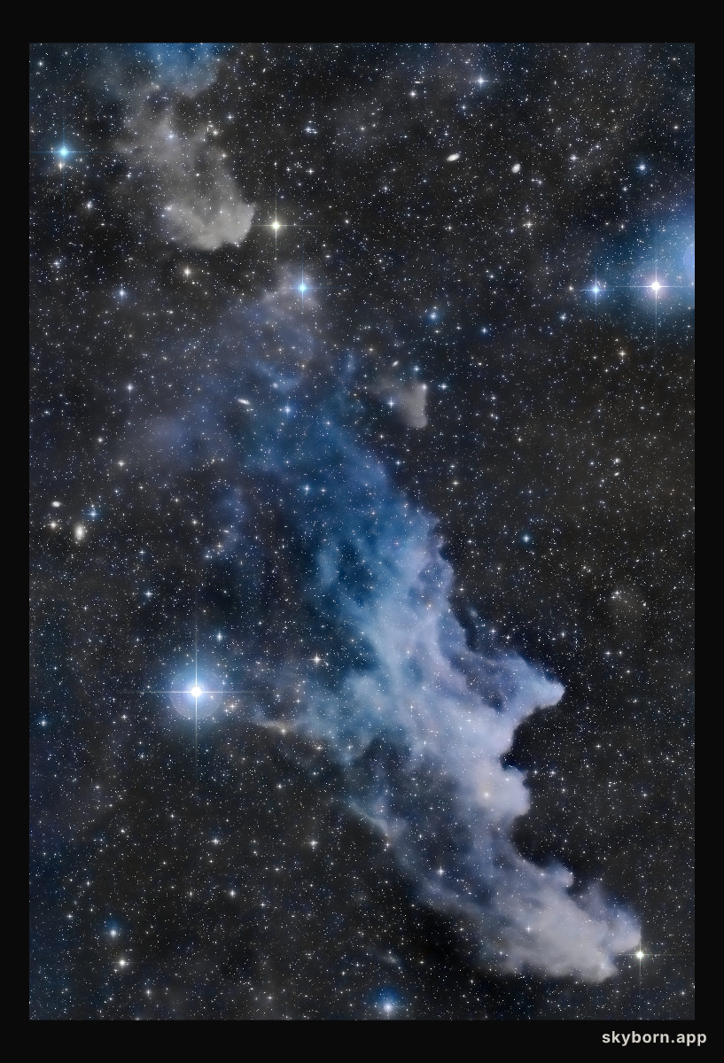 The Witch Head Nebula