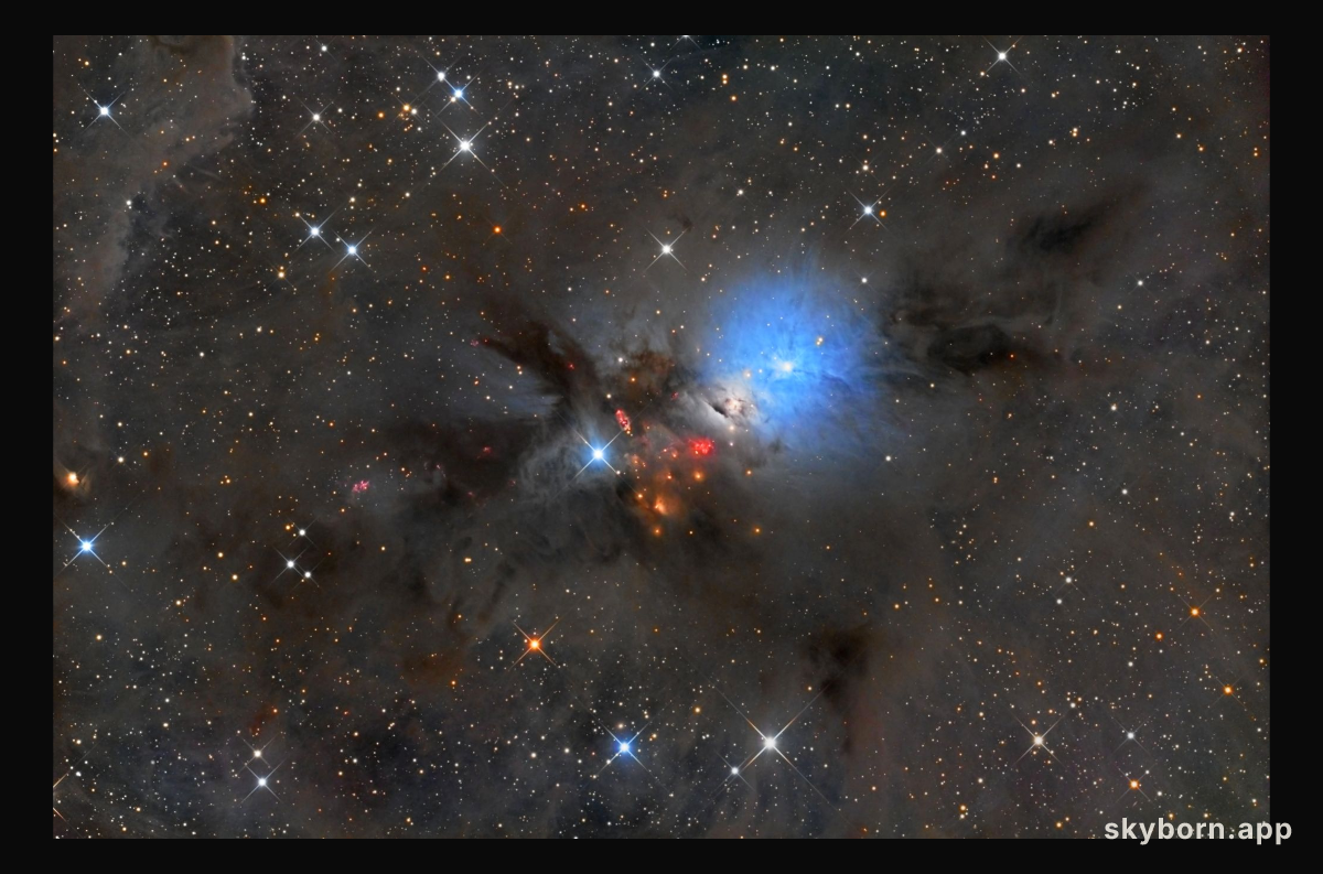 NGC 1333: Stellar Nursery in Perseus