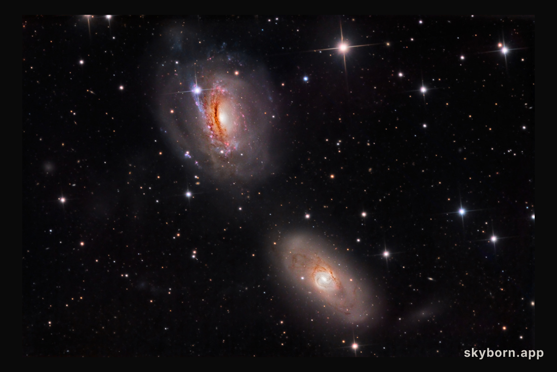 Unraveling NGC 3169