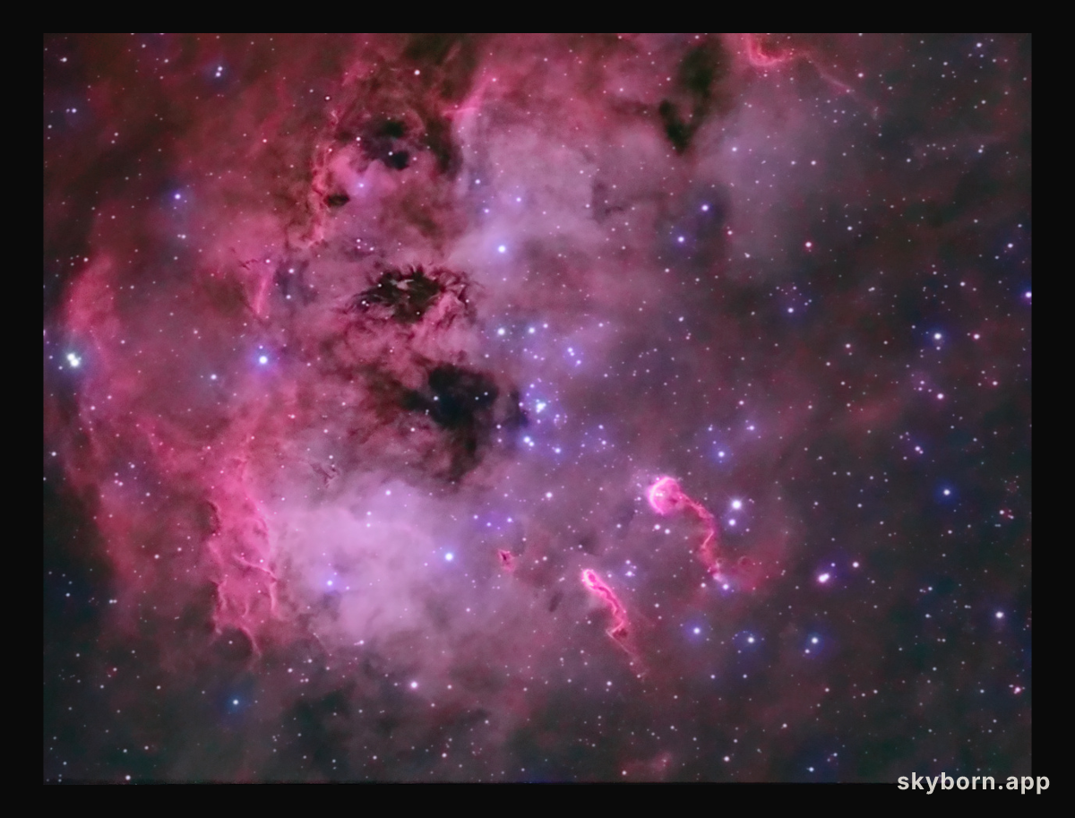 The Tadpoles of IC 410