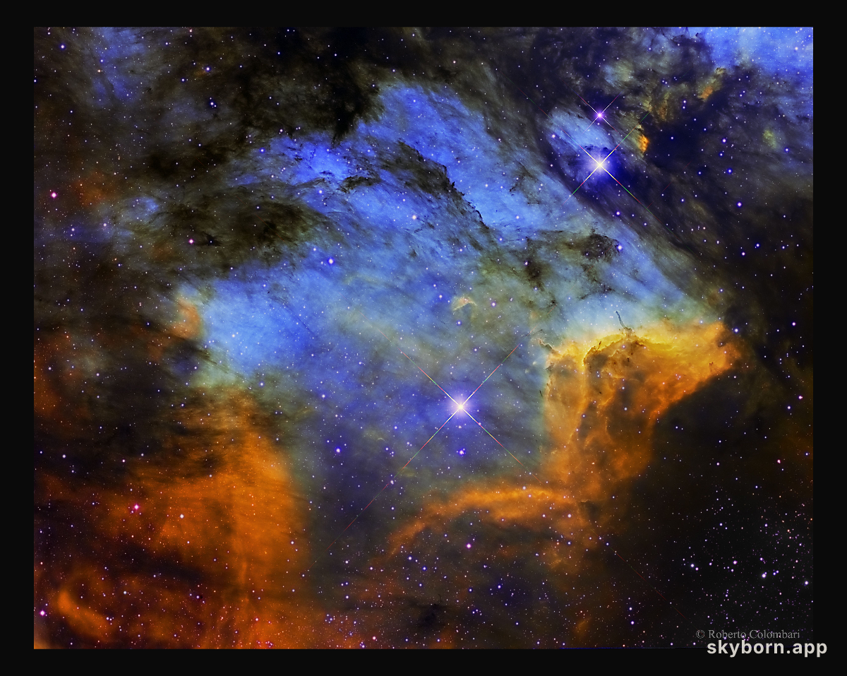 The Pelican Nebula in Gas, Dust, and Stars