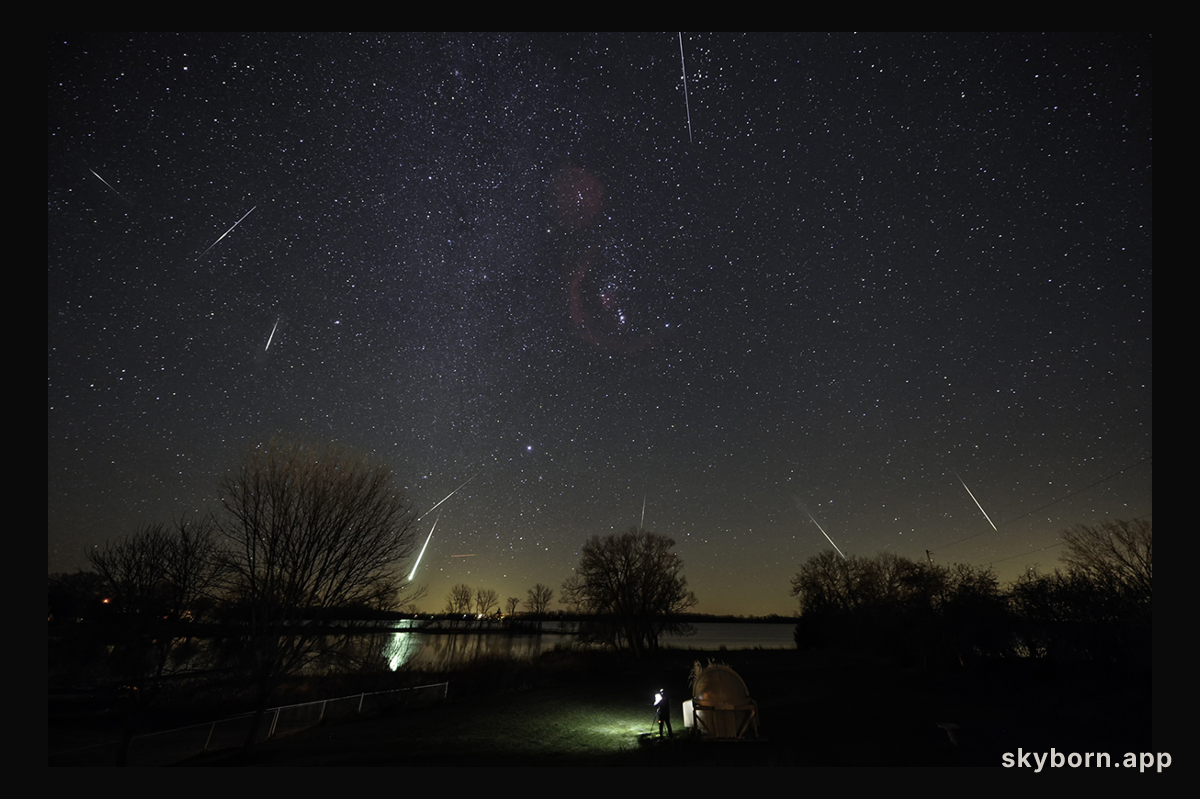 Leonids and Friends