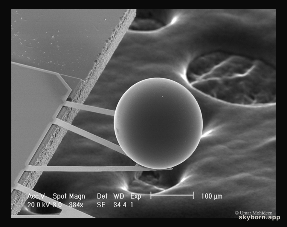 A Force from Empty Space: The Casimir Effect