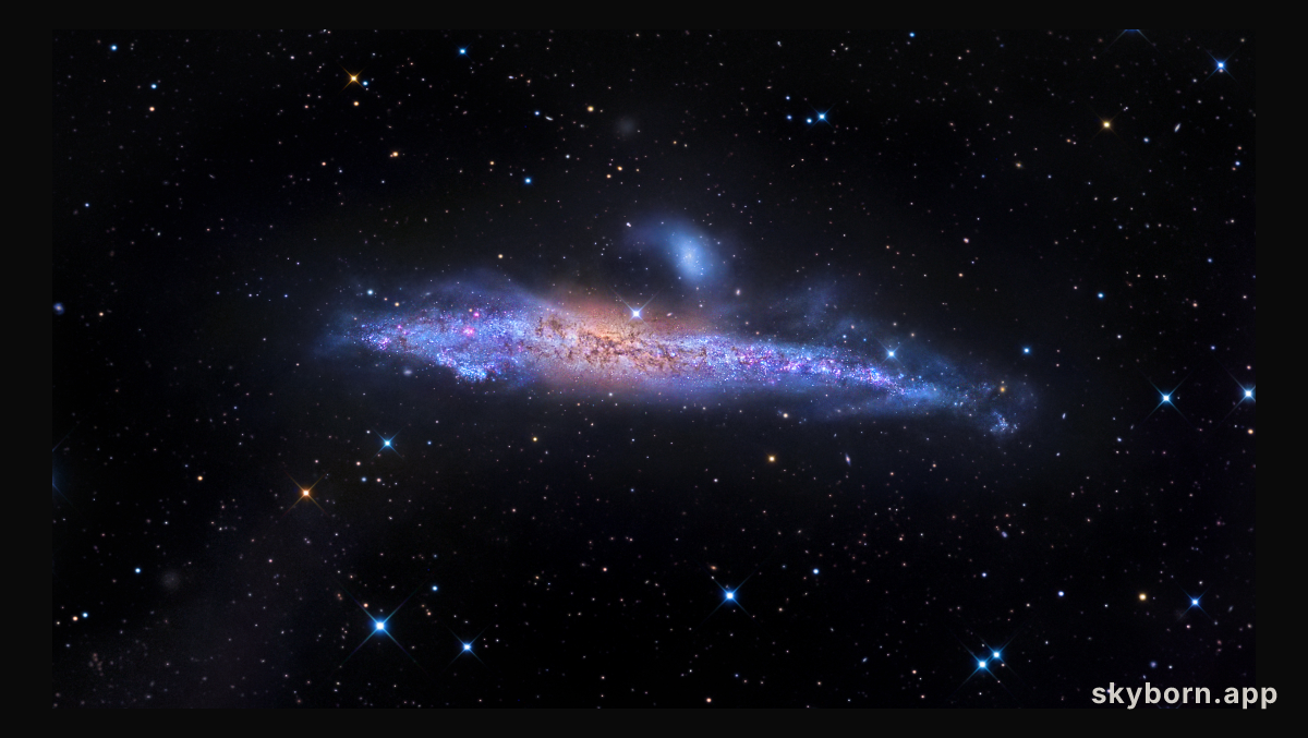 Star Streams and the Whale Galaxy