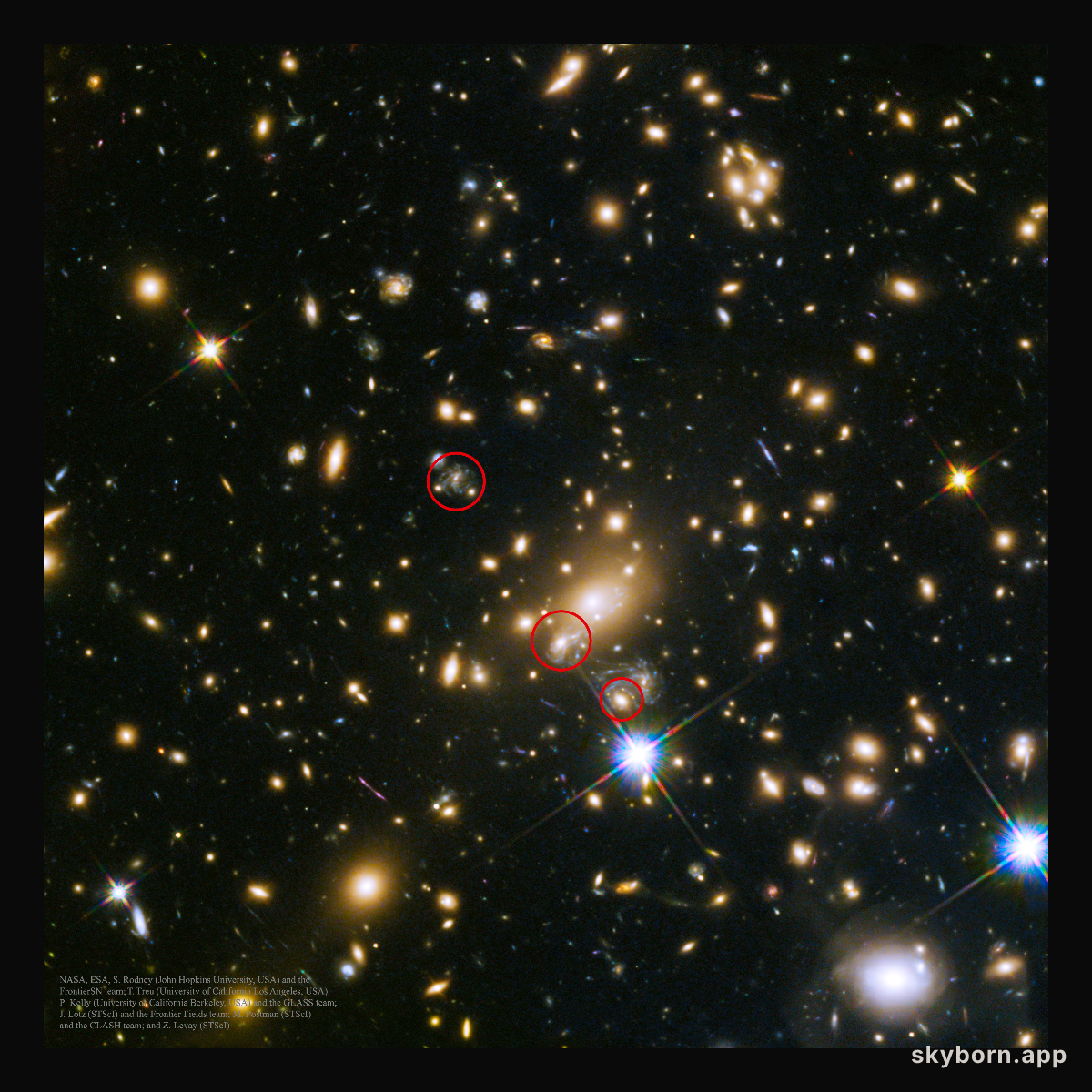 SN Refsdal: The First Predicted Supernova Image