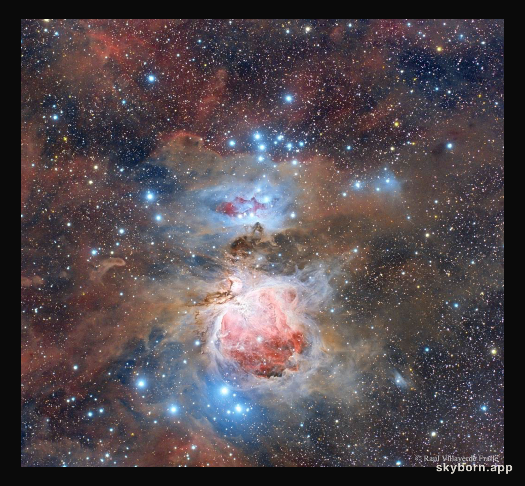 Dust of the Orion Nebula