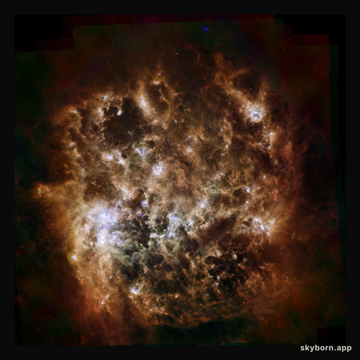 Infrared Portrait of the Large Magellanic Cloud