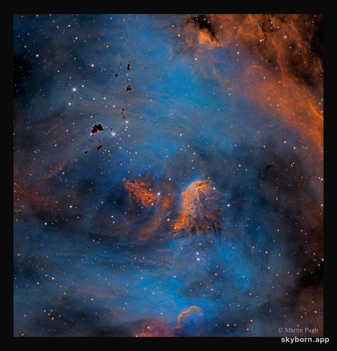 Stars and Globules in the Running Chicken Nebula
