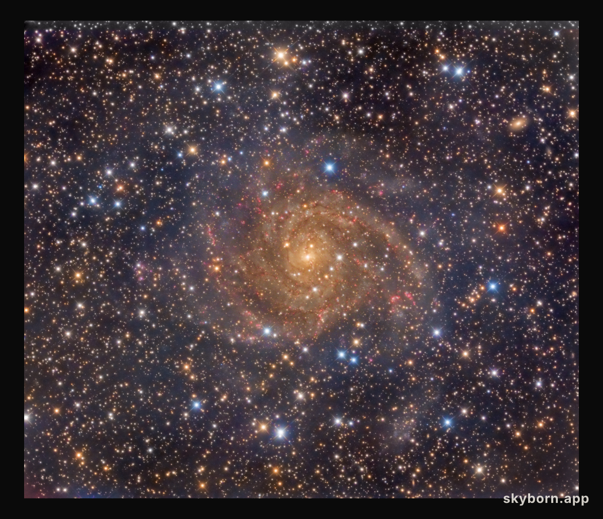 Hidden Galaxy IC 342