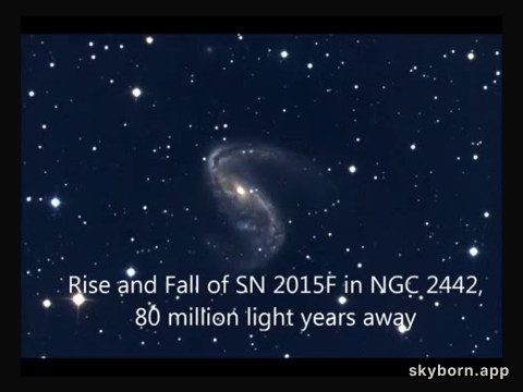 The Rise and Fall of Supernova 2015F