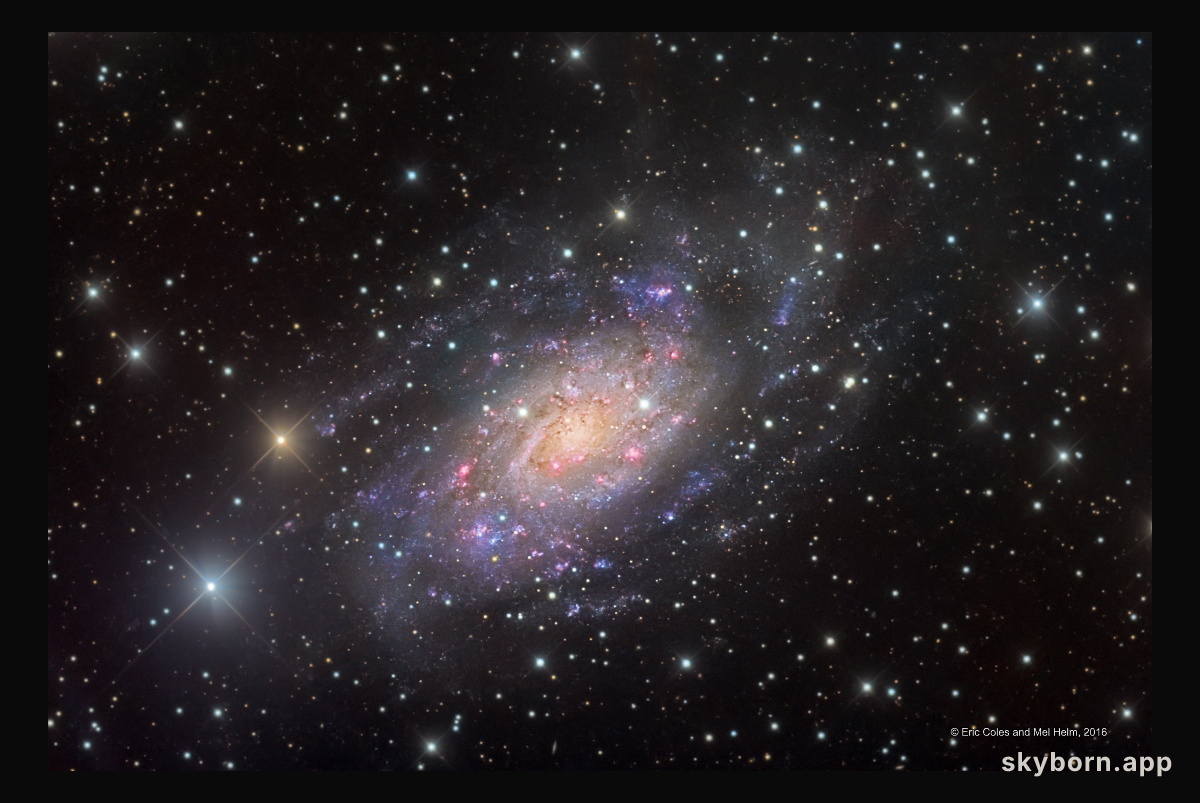 NGC 2403 in Camelopardalis