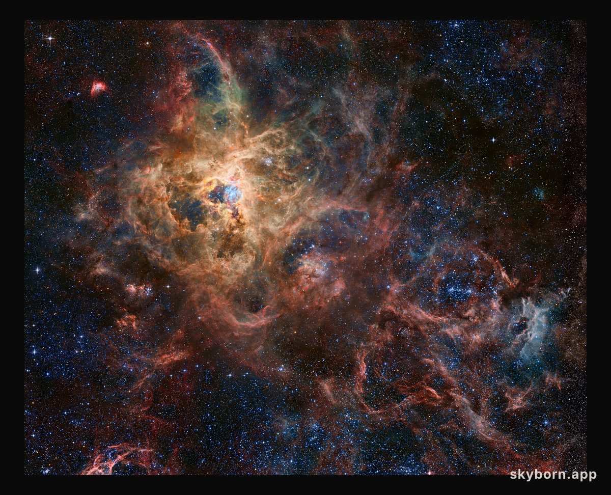The Tarantula Nebula
