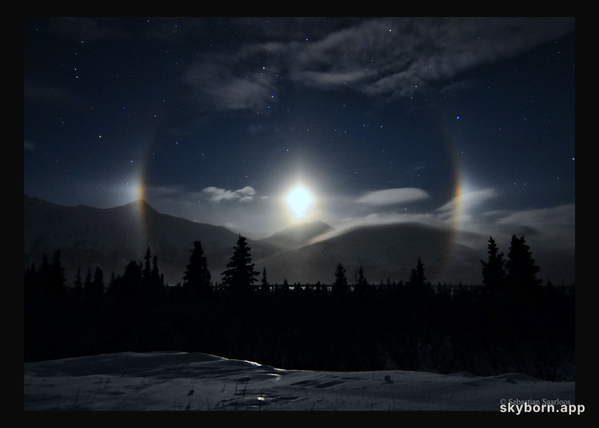 Alaskan Moondogs