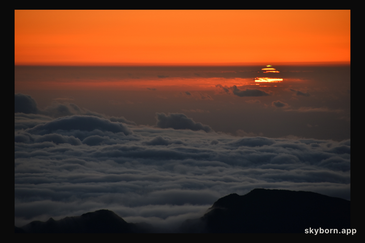 A Green Flash of Spring