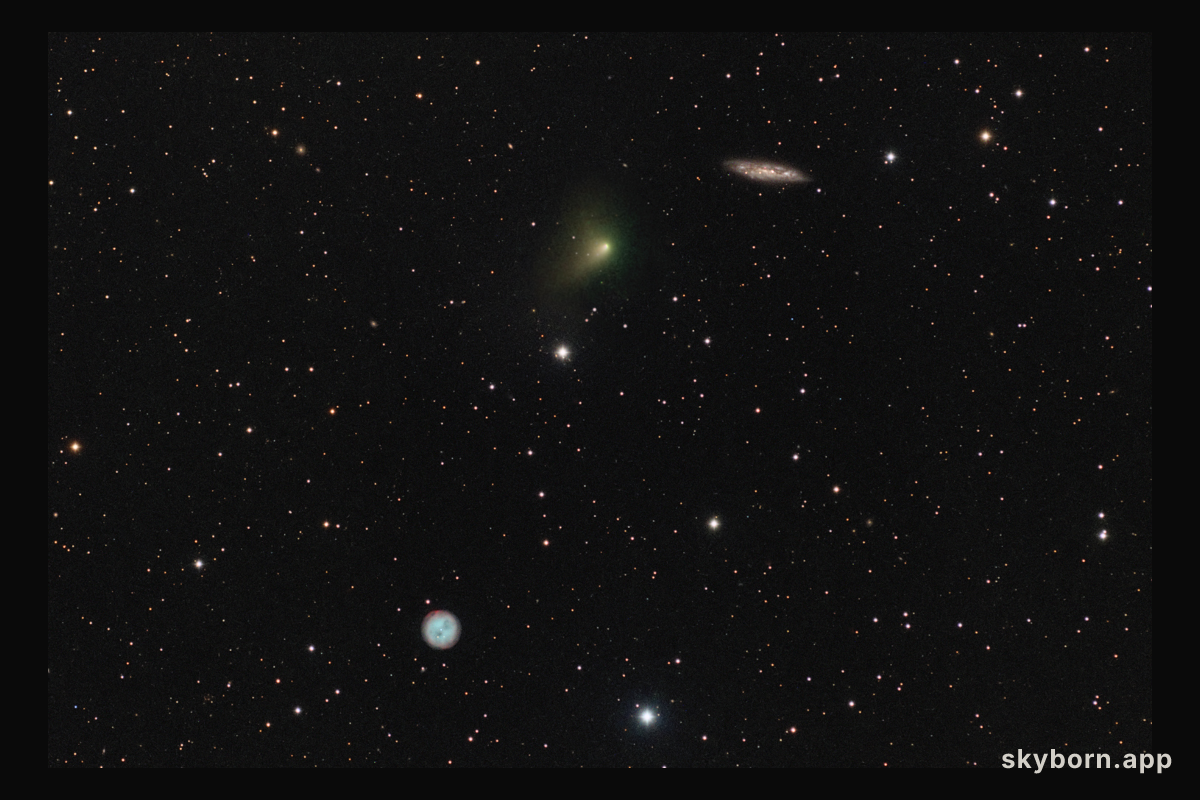 The Comet, the Owl, and the Galaxy