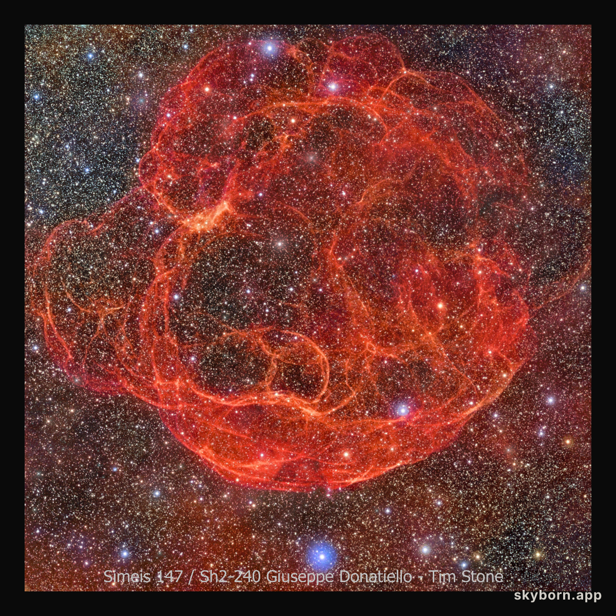 Supernova Remnant Simeis 147: The Spaghetti Nebula