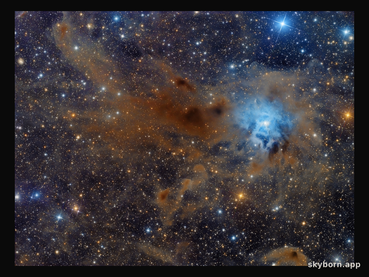 NGC 7023: The Iris Nebula