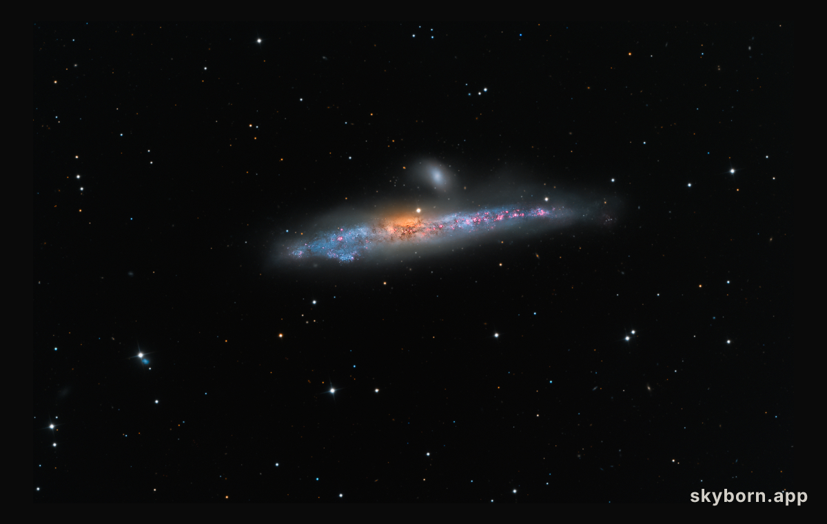 NGC 4631: The Whale Galaxy