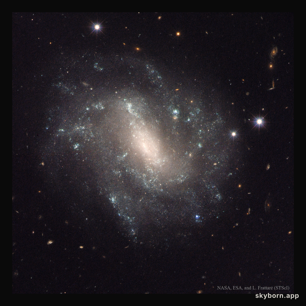 The Supernova and Cepheids of Spiral Galaxy UGC 9391