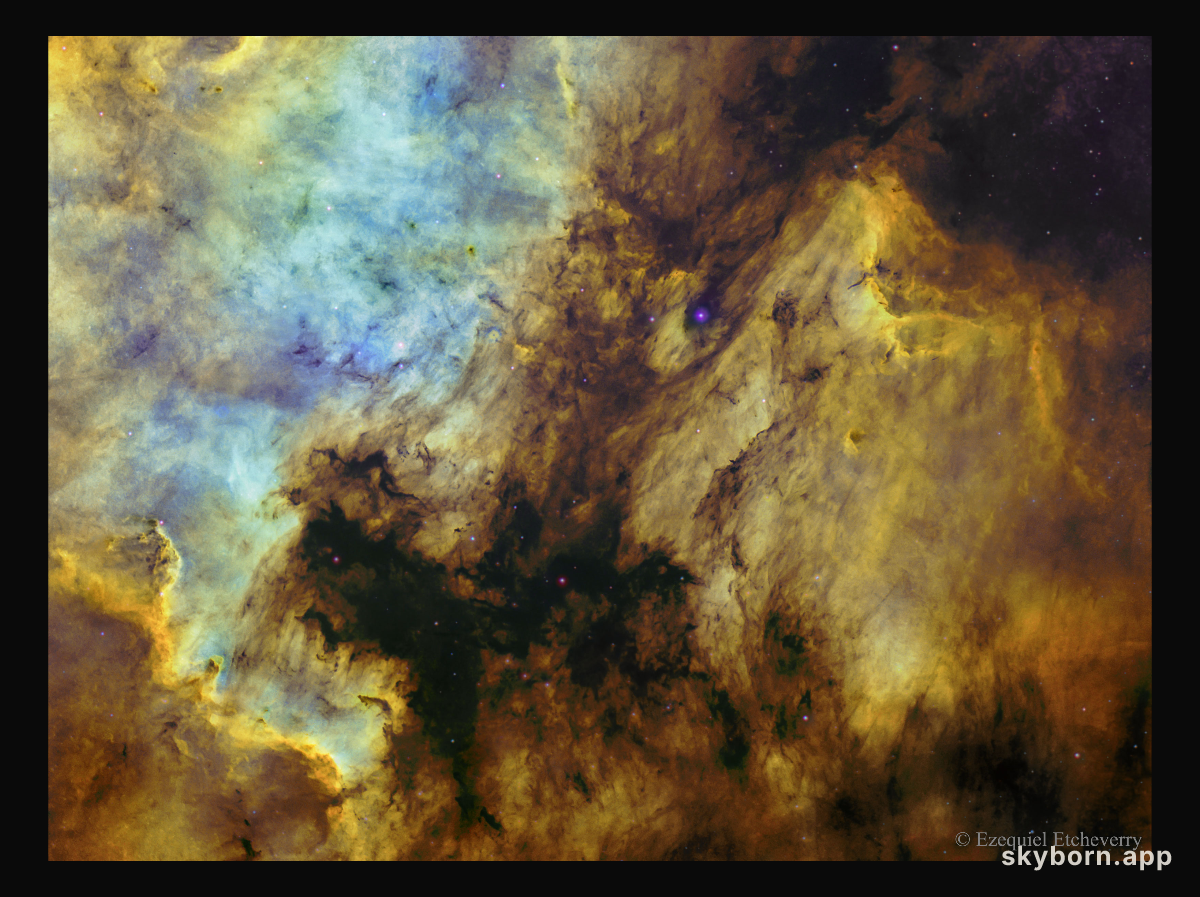 The North America and Pelican Nebulas