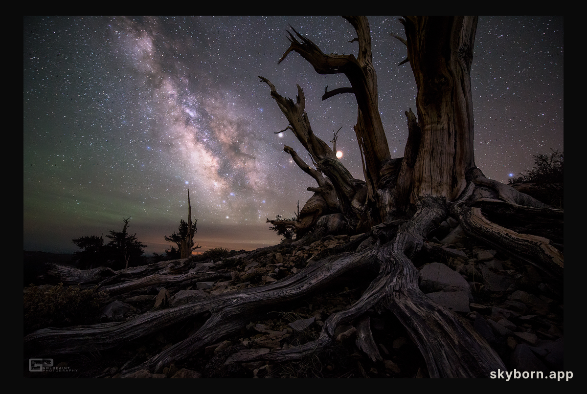Galaxy and Planets Beyond Bristlecone Pines