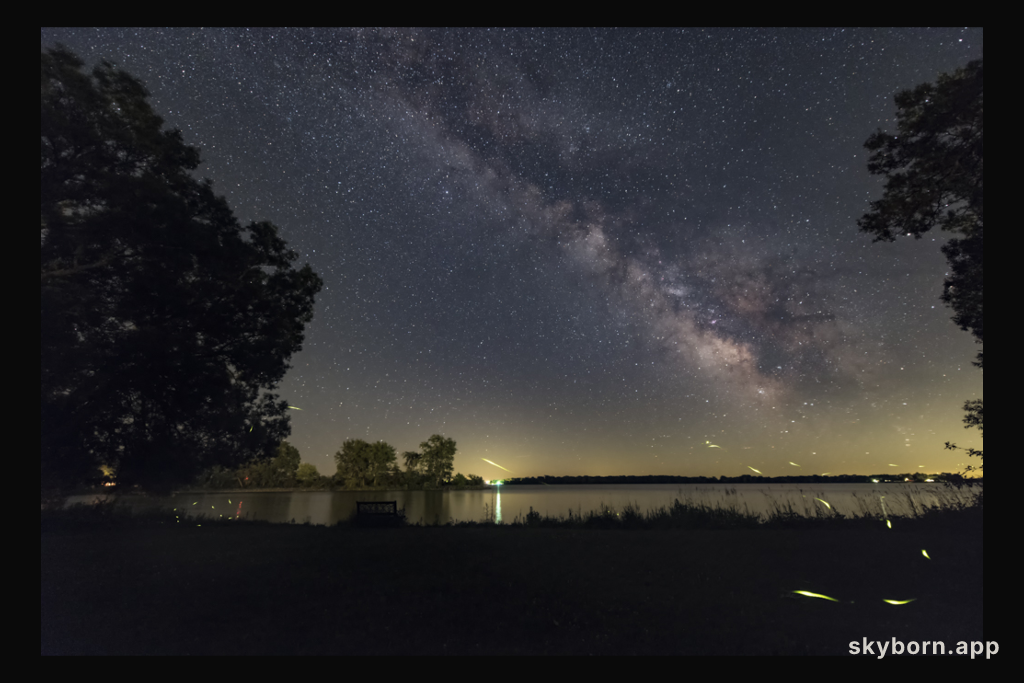 Firefly Trails and the Summer Milky Way