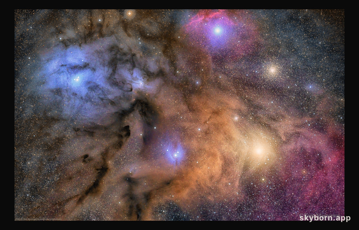 The Colorful Clouds of Rho Ophiuchi