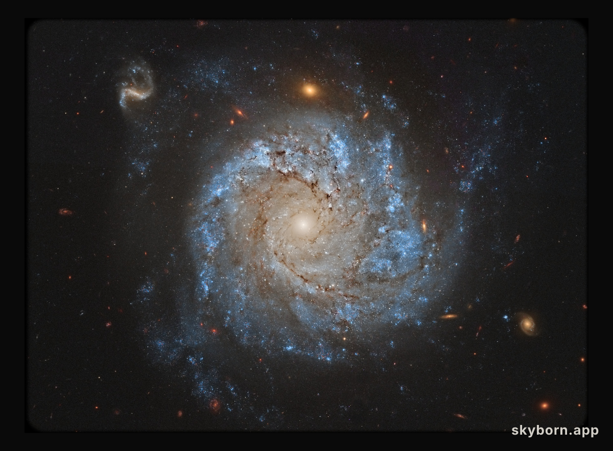 NGC 1309: Spiral Galaxy and Friends