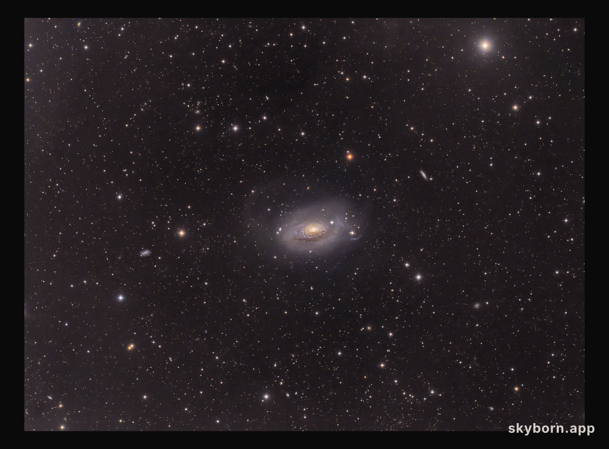 M63: Sunflower Galaxy Wide Field