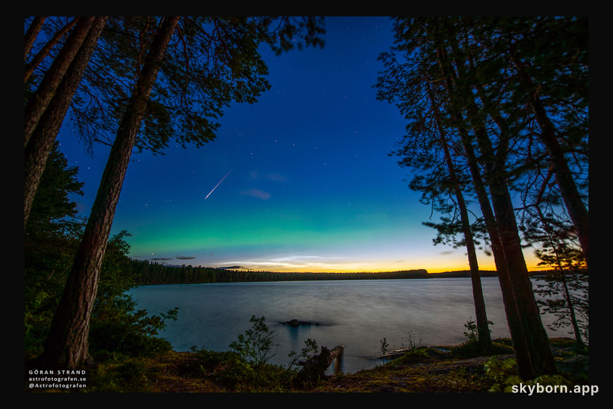 Perseid, Aurora, and Noctilucent Clouds