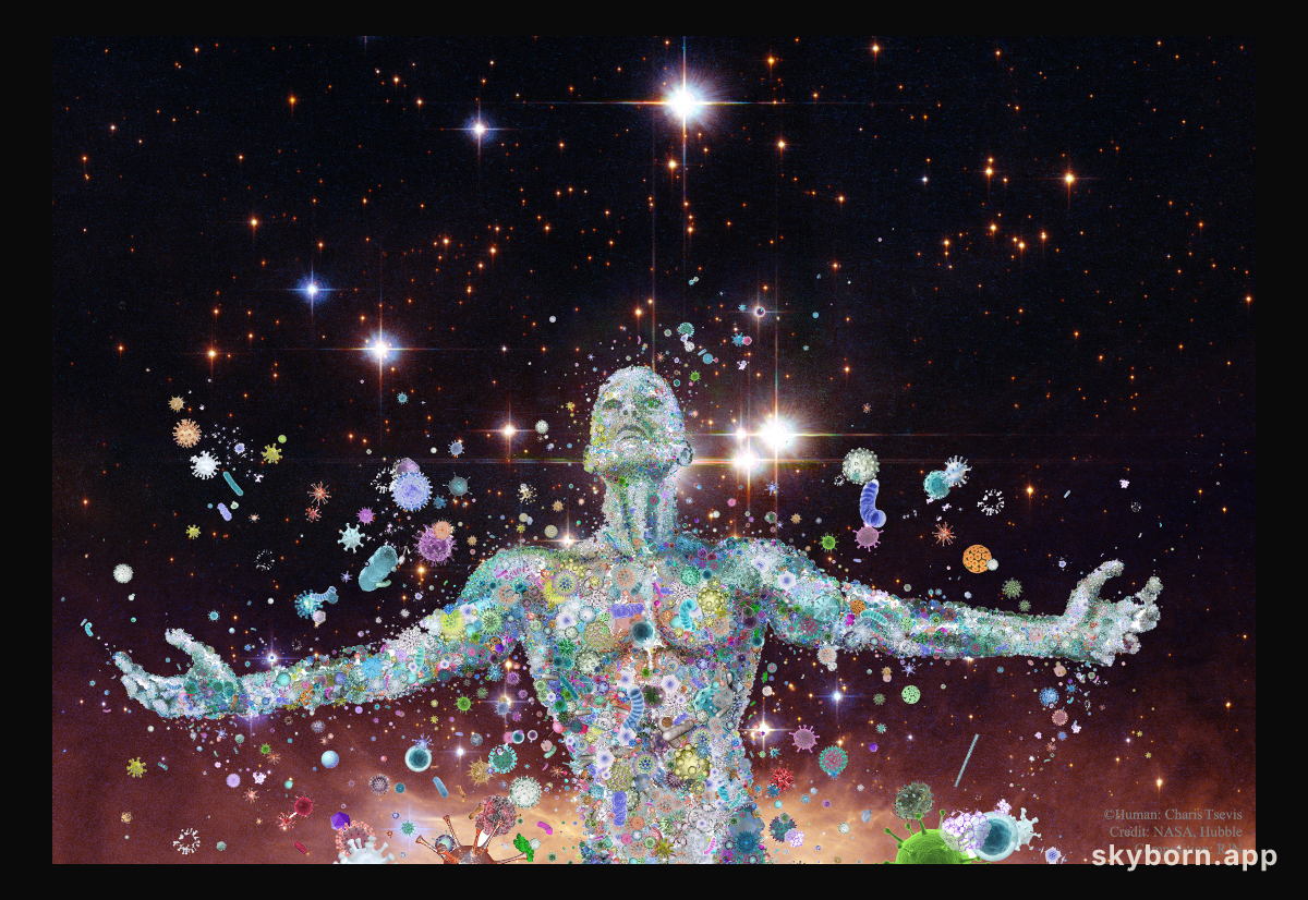 Human as Spaceship