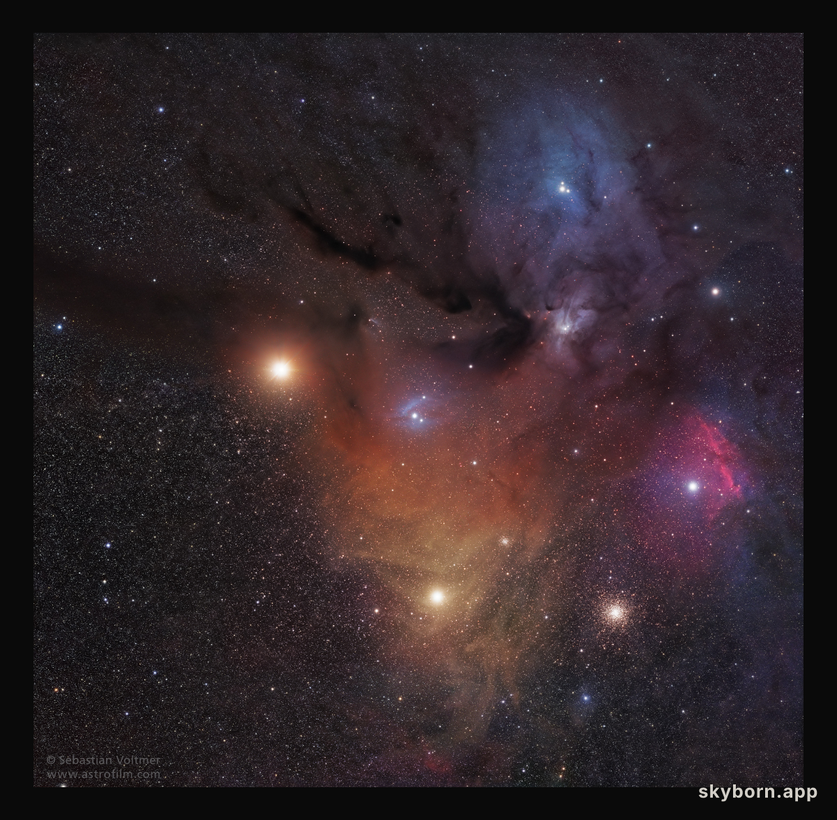 Mars in the Clouds