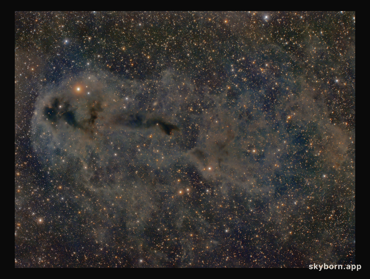 Lynds Dark Nebula 1251